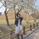 토앤레더스페이스 | 목련꽃 보러갈 때 직장인 주말룩 #7 | 레더자켓코디 with 화이트 언발란스 스커트