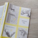 [서평] 반려인의 하루 - 김영글·안희제·정우열 | 삶의 감각을 다시 배우게 되는 반려에 대하여