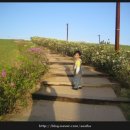 바람개비 이미지