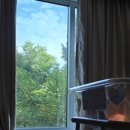 아산제약(주) | 삼성서울병원 산부인과 1인실 입원 후기 및 다인실(4인실, 2인실) 비교 장단점