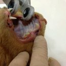 남산동물병원 이미지