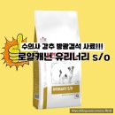 Ray_o | 로얄캐닌 유리너리 S/O, 방광결석 사료 수의사 처방 &amp; 후기