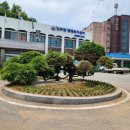 꽃길따라 이미지