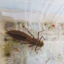 월락초등학교 이미지