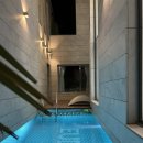 에다모니아 이미지