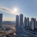 고려행정사 이미지