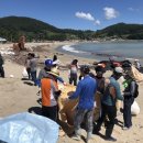 완도19호 이미지