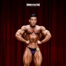 핏불 피트니스 이미지