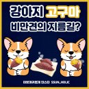 이쁘개 귀엽개 이미지