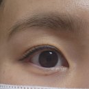 [경남창원] 중동 유니시티 창원속눈썹펌 추천, 아이립(+맞춤펌가능)