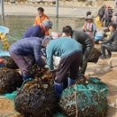 작은어촌 이미지