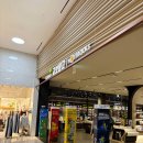 중등수학지도사(심화편) | 초등 수학 문제집 뭐 사야 할지 고민이라면｜직접 보고 고른 후기 (광교 교보문고)