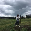 자매목장 이미지