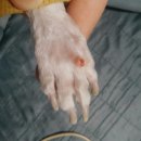 광교산동물병원 이미지