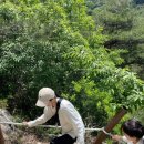 위드유메디 이미지