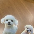 김종구부산어묵장산역점