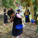 꽃내미 풀꽃이랑 마을 이미지