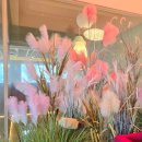 373 | 하남 초이동 대형카페 373애비뉴 후기ㅣ커피와 유기농빵 모두 만족