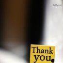 퍼피앤유 이미지