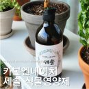 식물영양제 세솔 :: 자연친화 탄소비료 실내식물 영양제 사용 후기