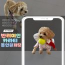 겨울 준비는 지금부터! 반려미인 반려동물 옷 패딩&amp; 카라 셔츠 솔직 후기