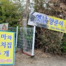 엄마와 까치집 두개 이미지