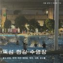 여름밤 | 뚝섬 한강 수영장 야간 개장 2026 : 서울 여름 밤 수영한 후기