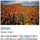 부산카크리닉