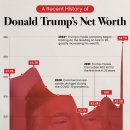 차트: 도널드 트럼프의 순자산(2014-2024) 이미지