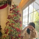 세컨트리 | 서울 성내동 크리스마스 카페 담금 메인트리 예약 식사 후기