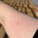 도래재별빛마을캠핑장 | [野:13] 도래재별빛마을 캠핑장 ① | B2 사이트 - 밀양 단장