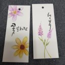 선캘리아트