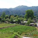 은행마을 이미지