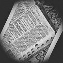 생명의 멜로디 이미지