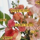 플로랄데이즈 이미지