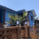 비자림라파 이미지