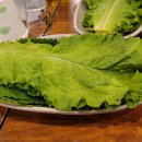 홍가네닭갈비 네이버블로그