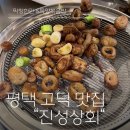 바삭상회 | 평택 고덕 맛집 진성상회 막창한판 먹방후기