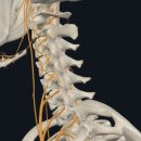 연세88마취통증의학과의원 이미지