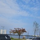 호수와 소나무 | 강릉 여행 가볼만한곳 추천 경포대 누각에서 즐기는 호수와 바다 후기