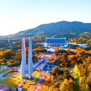 150만 명이 선택한 무료 단풍·야경 명소 이미지