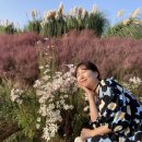 주포주유소 이미지