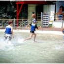 합기도 대구관 이미지