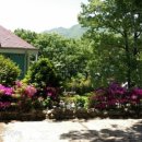 솔향기하우스 이미지