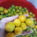 진건약품 이미지