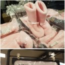 펫샤워 이미지