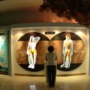 건강과 성 박물관 이미지