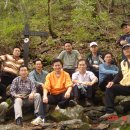 베어스 타운 이미지