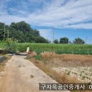 강화대교 5분여 앞은 절대농지 솔정리 나대지 216평,1억3500만원,강화도부동산 이미지