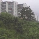 (주)천둥소리 이미지